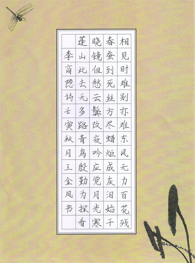 王金凤 优秀奖.jpg