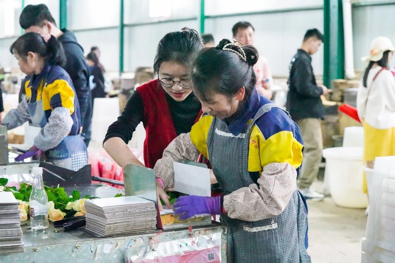 行走的思政课：张桂梅思政大讲堂云南经济管理学院分课堂在昆阳张良花卉专业合作社开讲 第 5 张