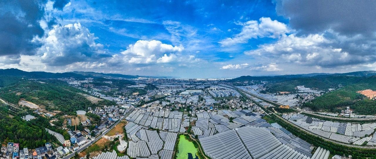 行走的思政课：张桂梅思政大讲堂云南经济管理学院分课堂在昆阳张良花卉专业合作社开讲 第 10 张