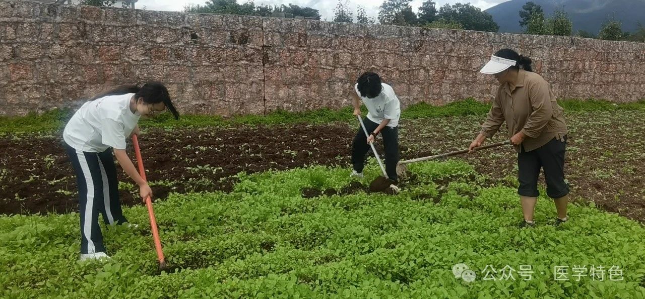 云南经济管理学院“经管纳医行”深入丽江探索雪山神医-纳西土医奥秘 第 9 张 云南经济管理学院“经管纳医行”深入丽江探索雪山神医-纳西土医奥秘 第 9 张