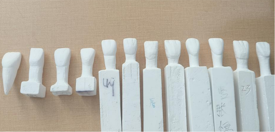 巧手雕化 形刻于心丨口腔医学技术专业技能展 第 8 张 巧手雕化 形刻于心丨口腔医学技术专业技能展 第 8 张