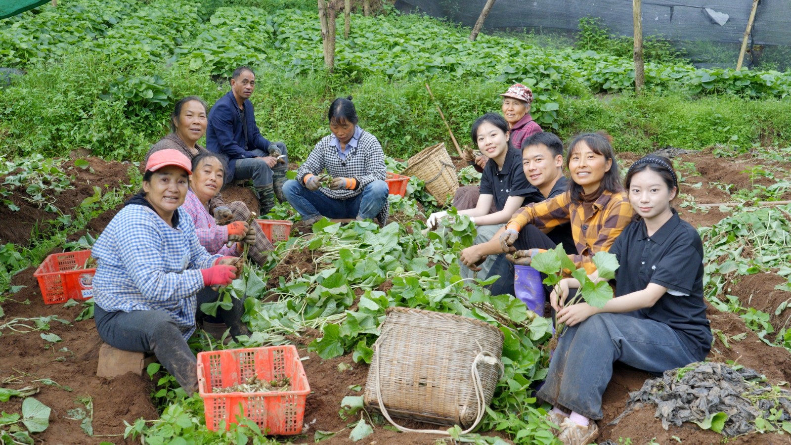 太上头了🤤，这个蘸料经管人研发的！ 第 9 张