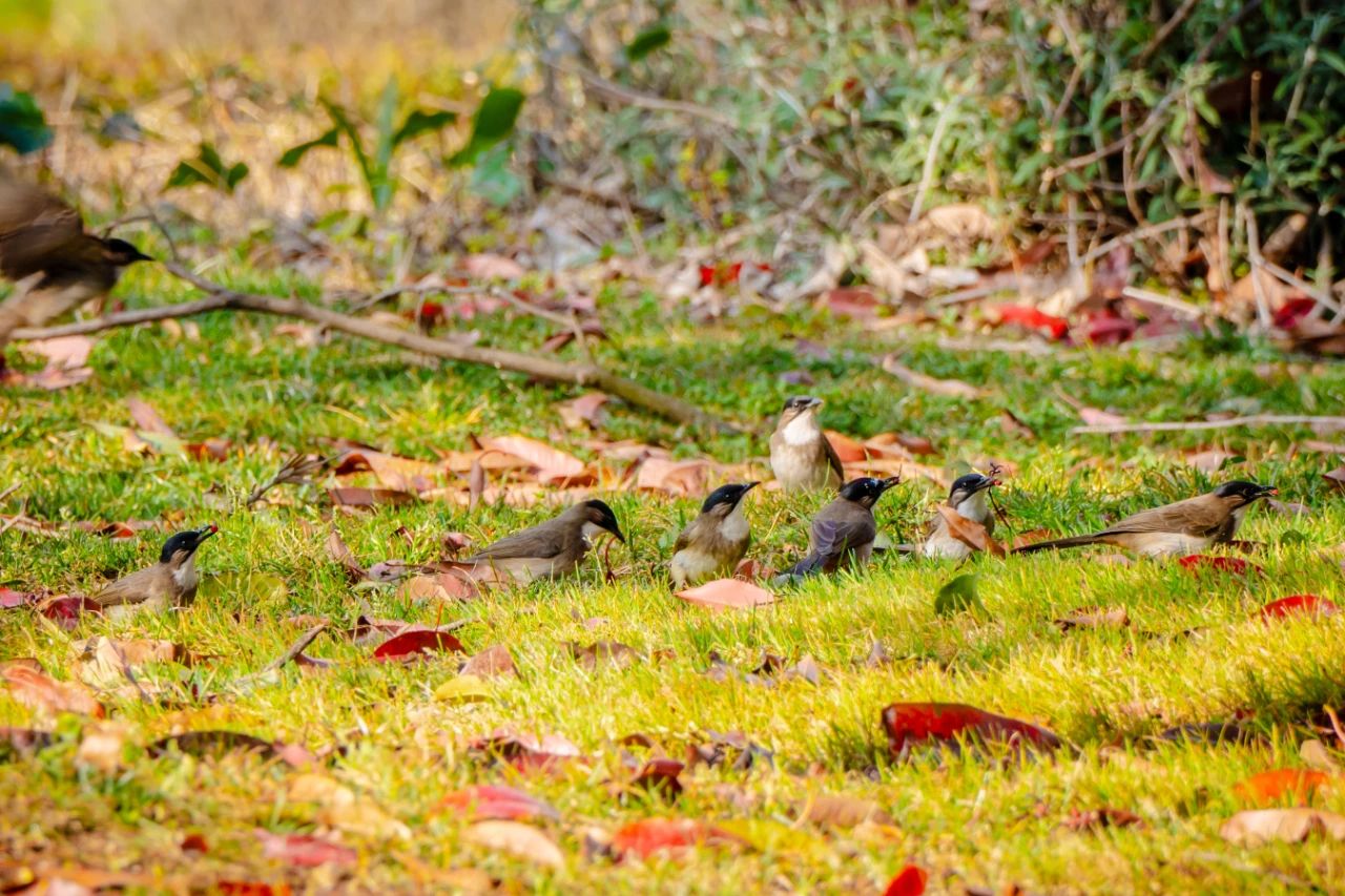 云南经济管理学院春季学期开学！ 第 14 张