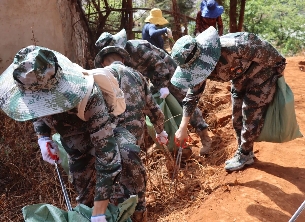 垃圾不落地 山林更美丽——黑林铺街道与云南经济管理学院开展护林环保行动 第 6 张