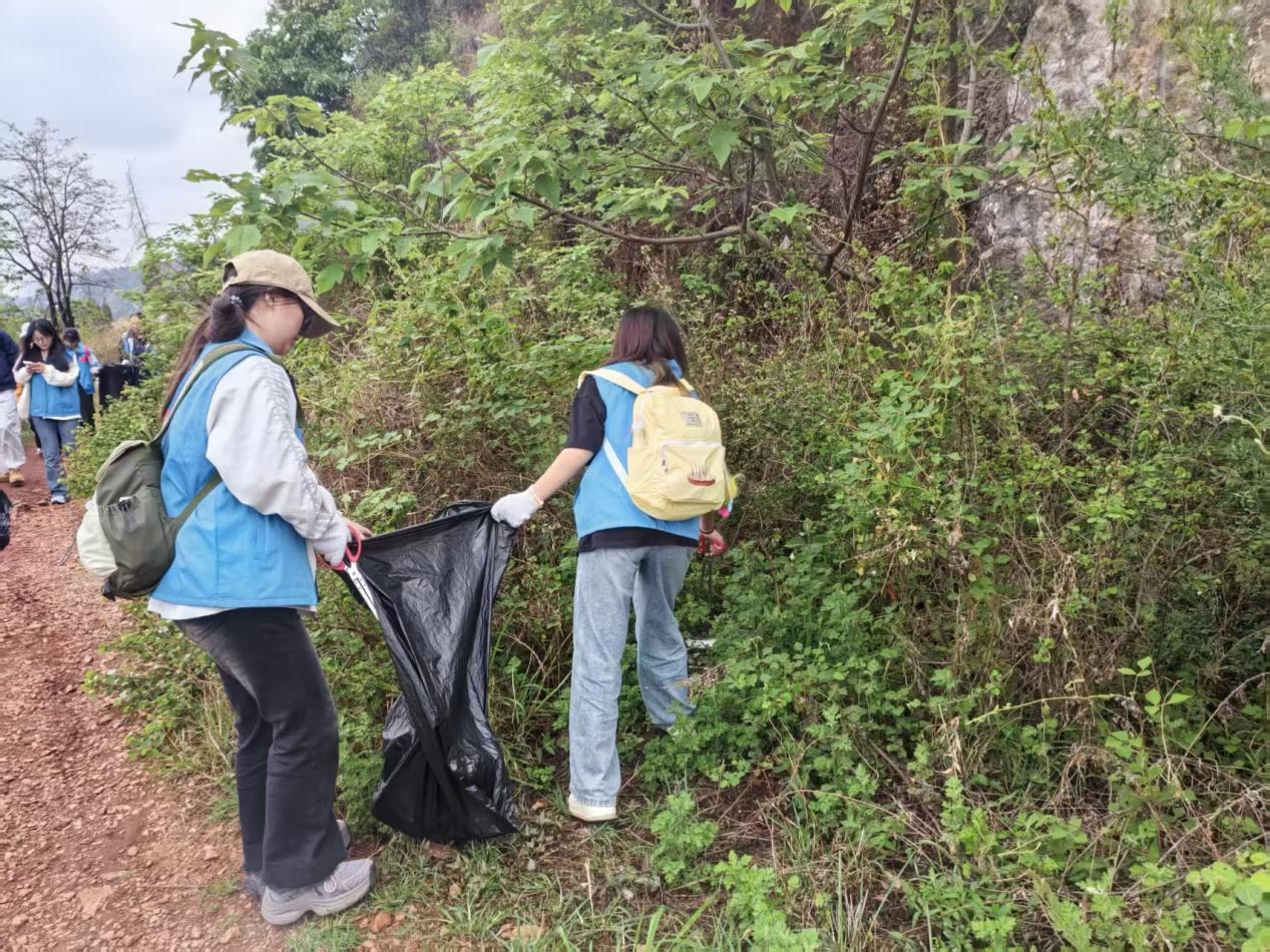 5.jpeg 青春绘就生态底色 云经管医学院环保行动守护玉案山 第 2 张