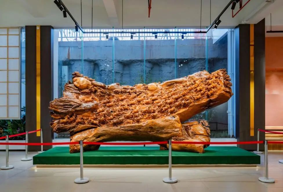 7b6db9090b177a8c9d63ff920731765a.jpg 7b6db9090b177a8c9d63ff920731765a.jpg