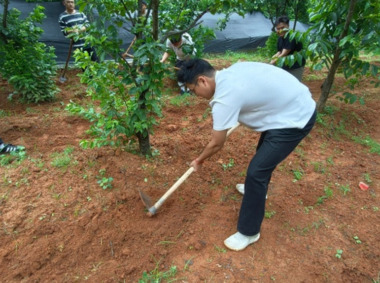 屏幕截图 2026-06-21 220016.png