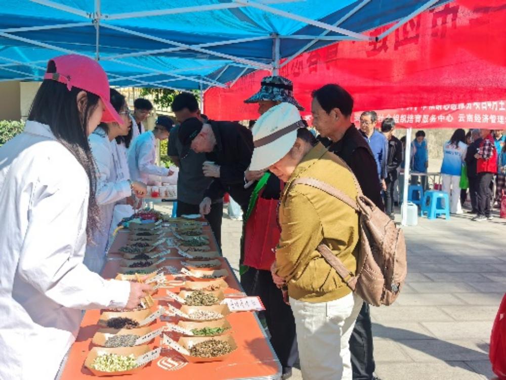 政校社联动聚合力 青春志愿暖银龄—“银龄暖情·志愿同行”主题关爱行动在安宁温情落幕 第 3 张